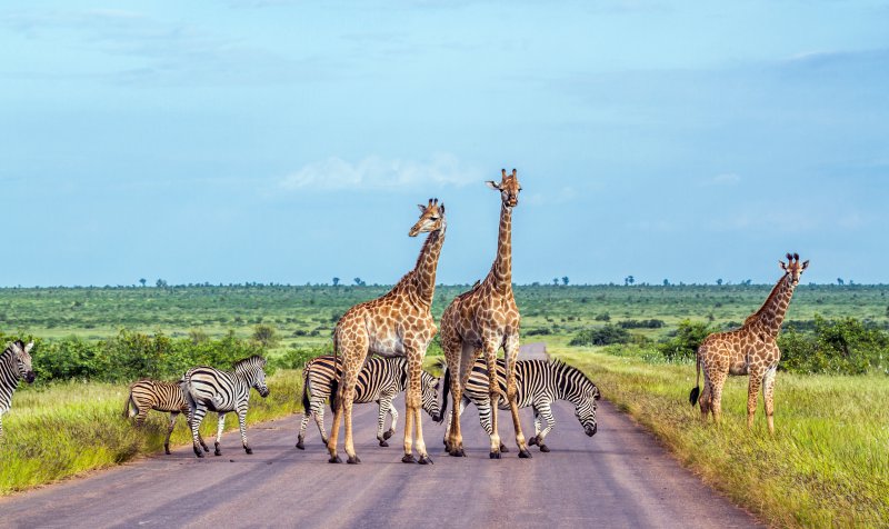AFRIQUE DU SUD