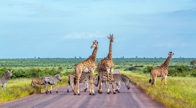 AFRIQUE DU SUD