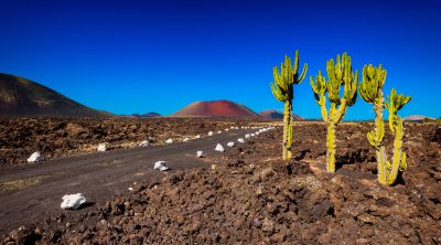 LANZAROTE
